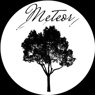 株式会社Meteor