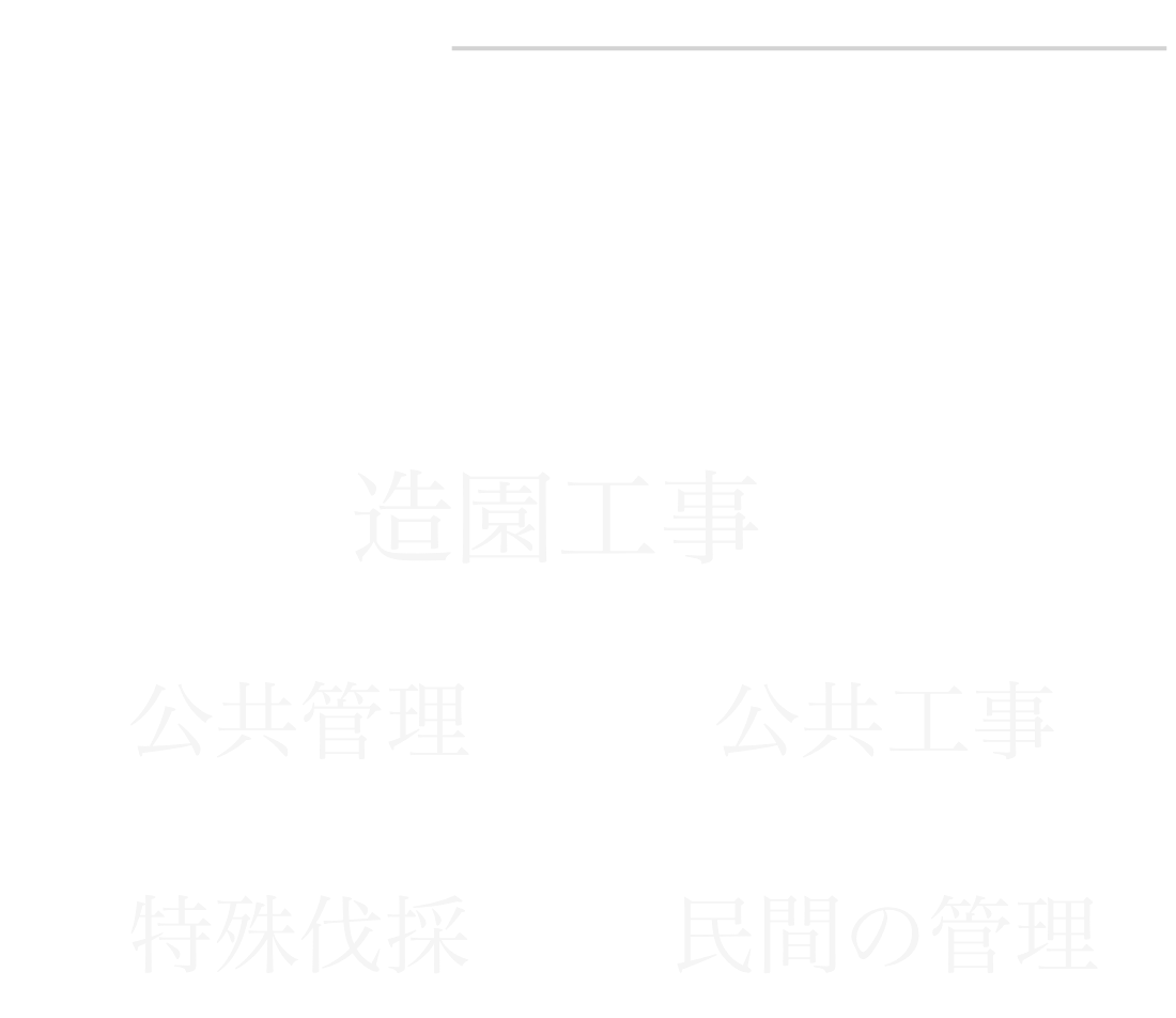 株式会社Meteor